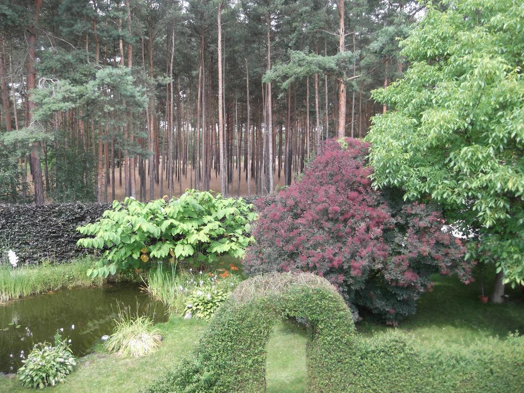 Amselgarten Lübben Dış mekan fotoğraf