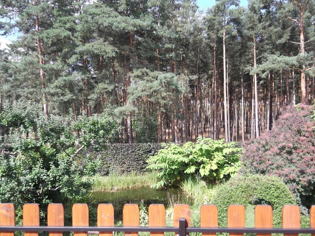 Amselgarten Lübben Dış mekan fotoğraf