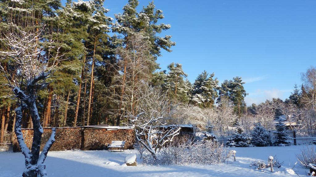 Amselgarten Lübben Dış mekan fotoğraf