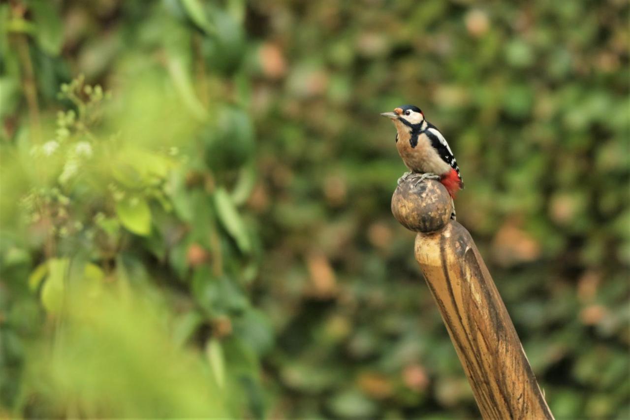 Amselgarten Lübben Dış mekan fotoğraf